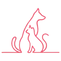Império Pet – Agropet e Consultório Veterinário